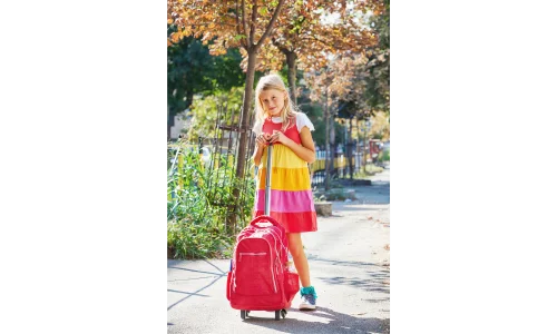 Different Types of Backpacks wheeled backpacks